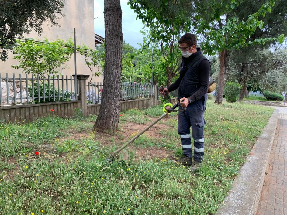 EFELER’DE PARK VE SOKAK ÇALIŞMASI