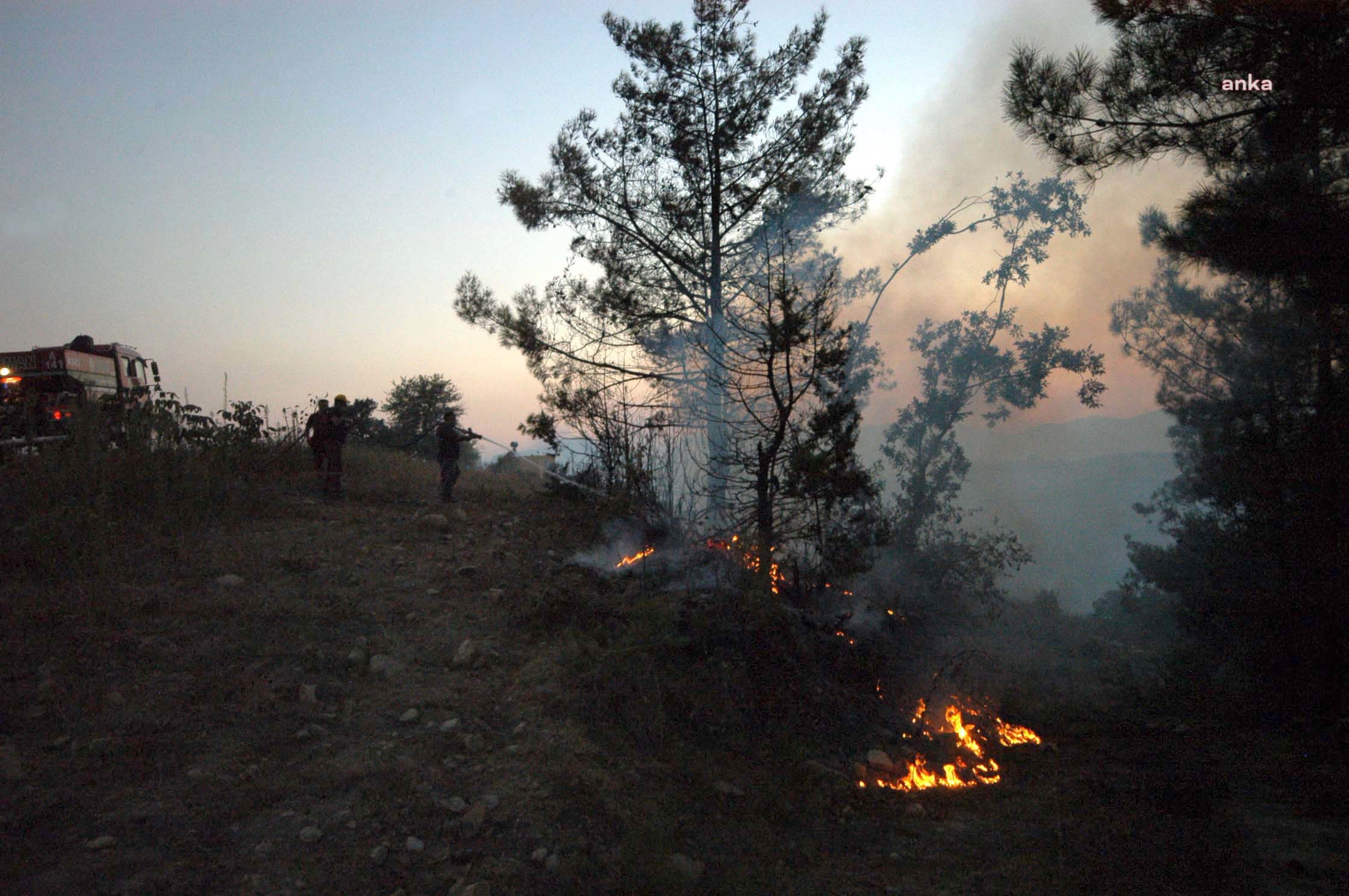 ADANA'NIN İKİ İLÇESİNDE ORMAN YANGINI
