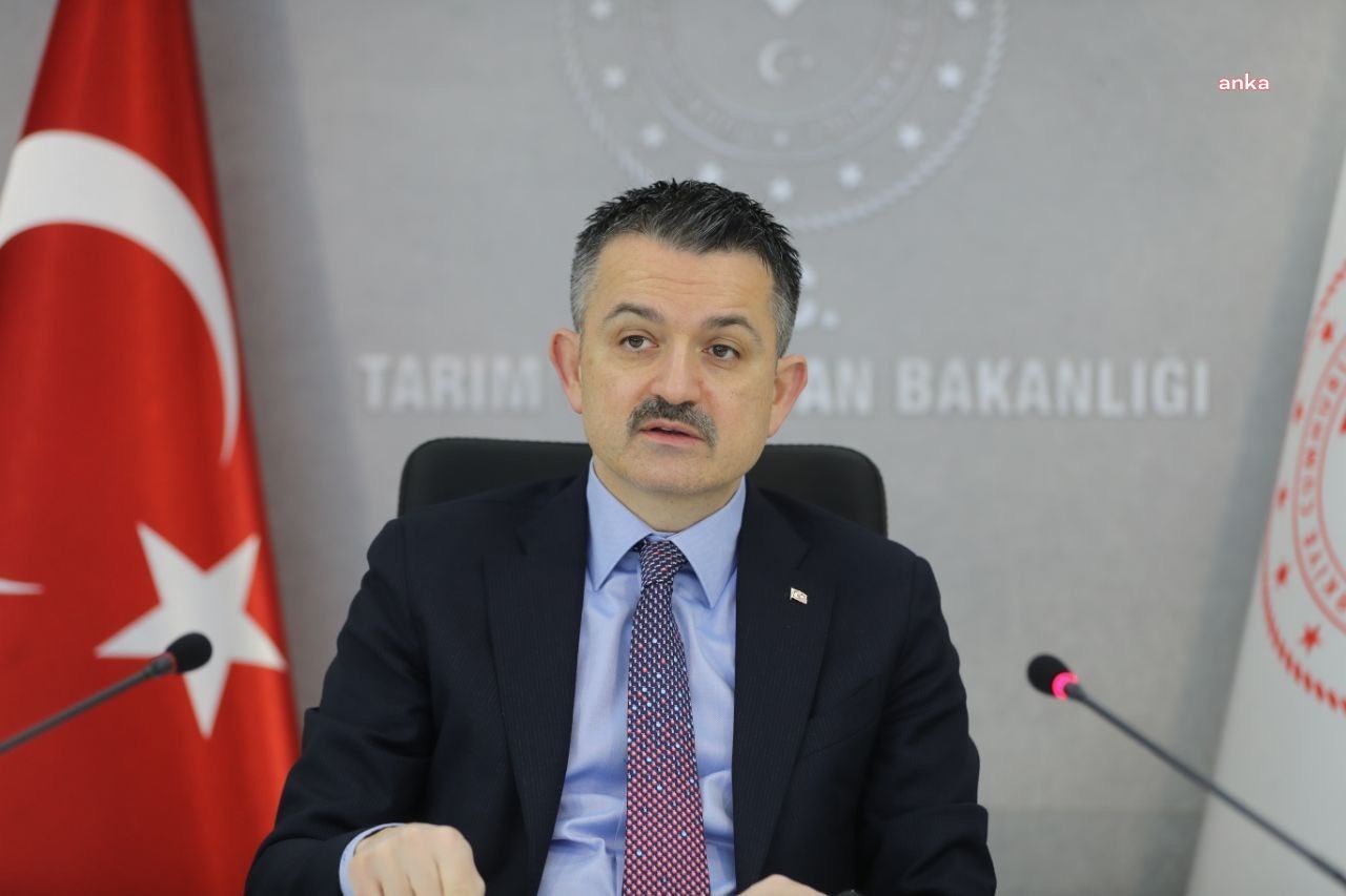BAKAN PAKDEMİRLİ: ANTALYA'DAKİ YANGINDA 2 KİŞİ HAYATINI KAYBETTİ