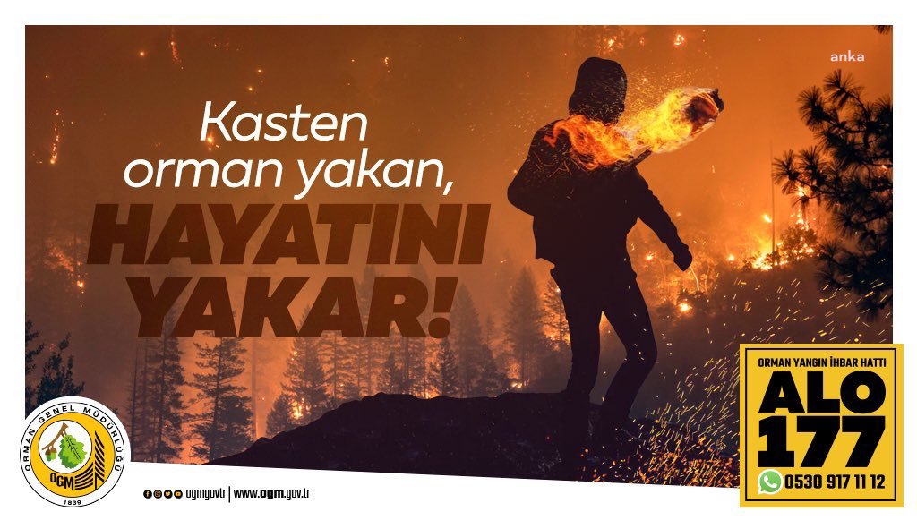 ORMAN GENEL MÜDÜRLÜĞÜ: ANTALYA'DAKİ YANGINLA İLGİLİ SORUŞTURMA BAŞLATILDI