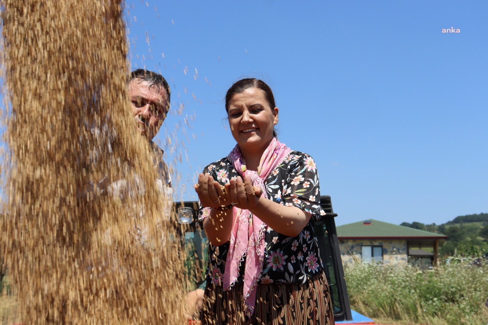 İZMİT BELEDİYESİ, NUSRAT CİNSİ BUĞDAY TOHUMU DESTEĞİNİ BAŞLATIYOR