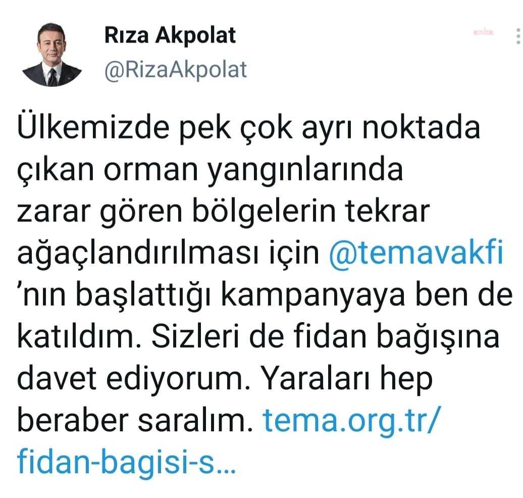 BEŞİKTAŞ BELEDİYE BAŞKANI AKPOLAT, TEMA VAKFI’NA FİDAN BAĞIŞINDA BULUNDU