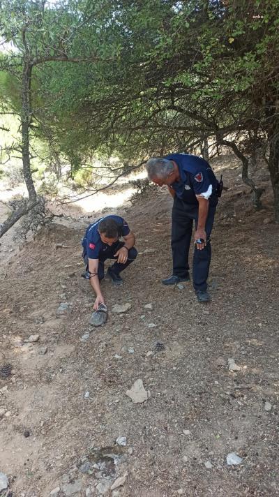 İZMİR’İN ORMANLARI İÇİN KORUMA KALKANI