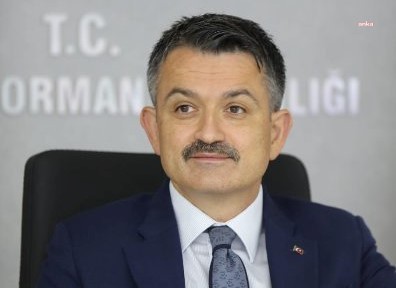 BAKAN PAKDEMİRLİ: BODRUM YANGINI KONTROL ALTINA ALINDI
