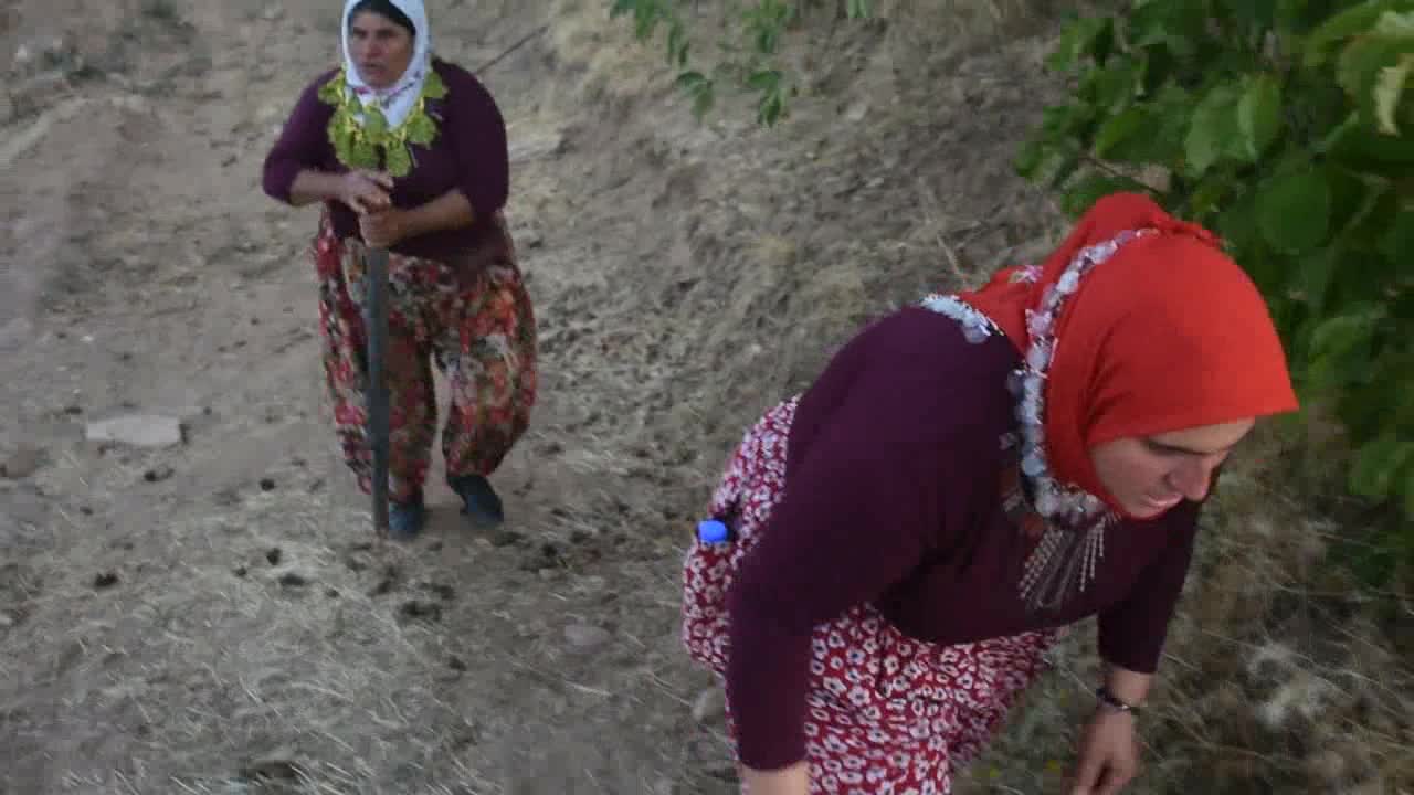 AYDIN'DA YAYLA EVLERİ YANINCA KÖYLÜLER ŞÜPHELİ TAKİBİNE ÇIKTI