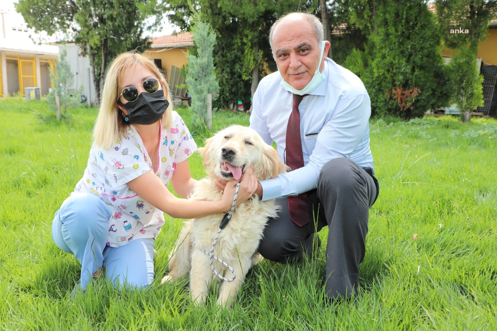 ODUNPAZARI BELEDİYESİ SOKAK HAYVANLARINI SAHİPLENDİRİYOR