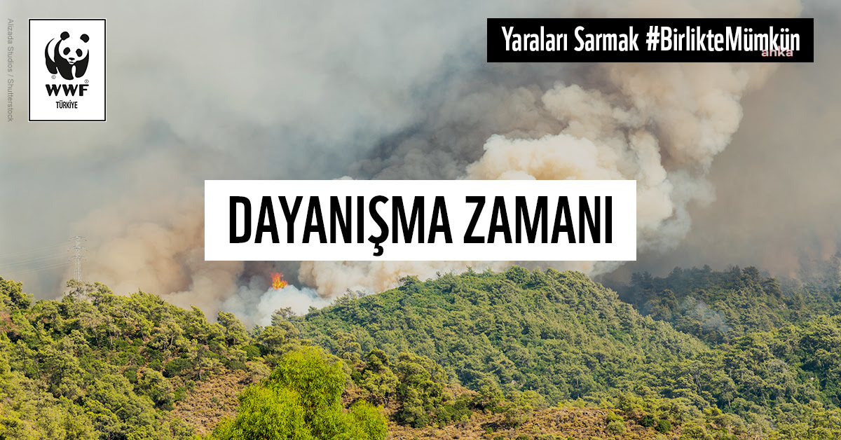 WWF-TÜRKİYE’DEN ORMAN YANGINLARINA HELİKOPTER DESTEĞİ