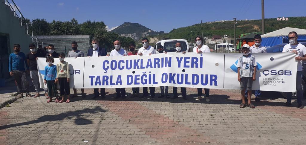 GİRESUN'DAKİ FINDIK HASADINDA ÇOCUK VE YABANCI İŞÇİ ÇALIŞTIRANLARA PARA CEZASI KESİLECEK