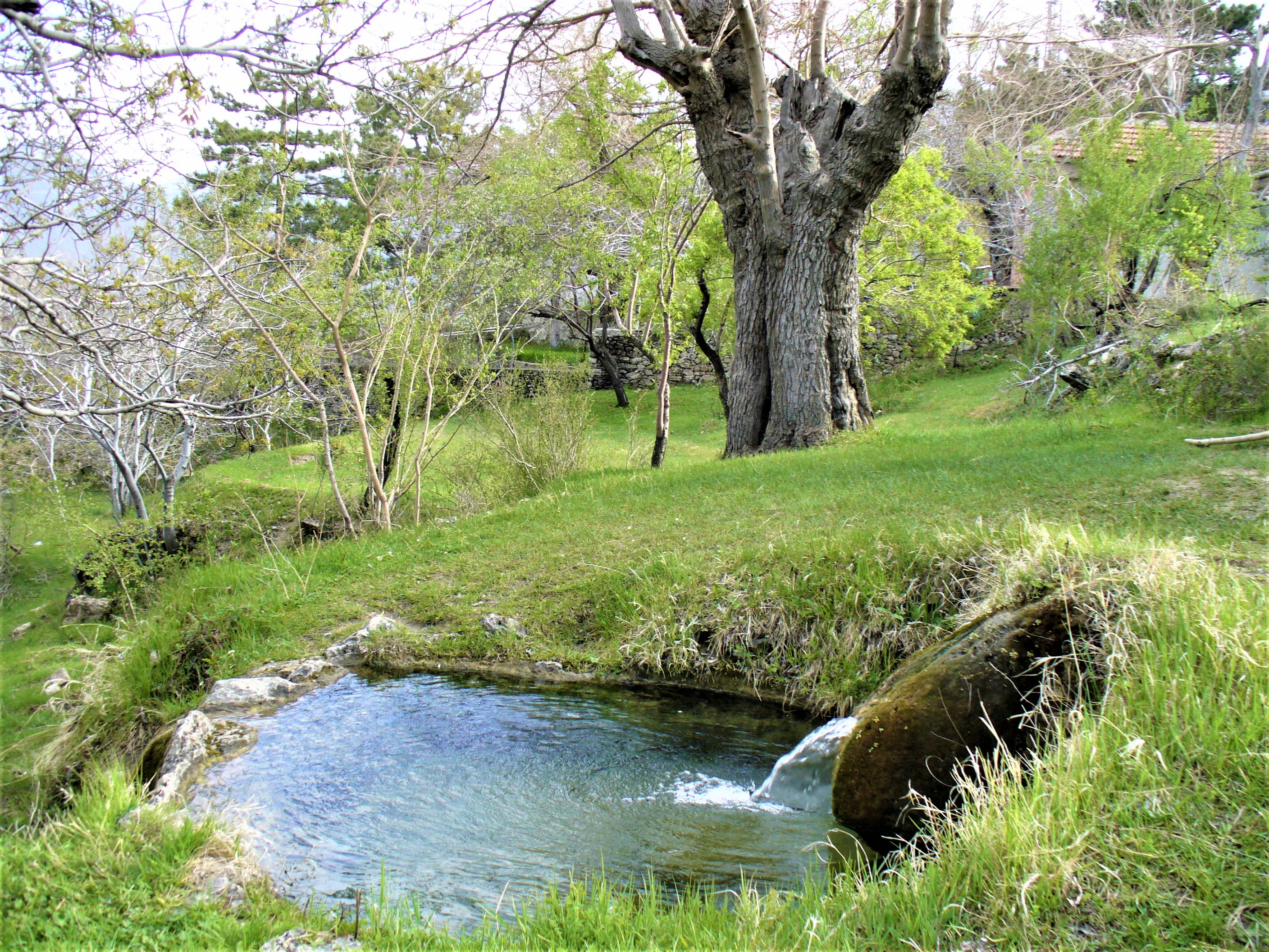 ILICA TEPESİ, BU BAHAR ZİYARETÇİSİZ KALDI