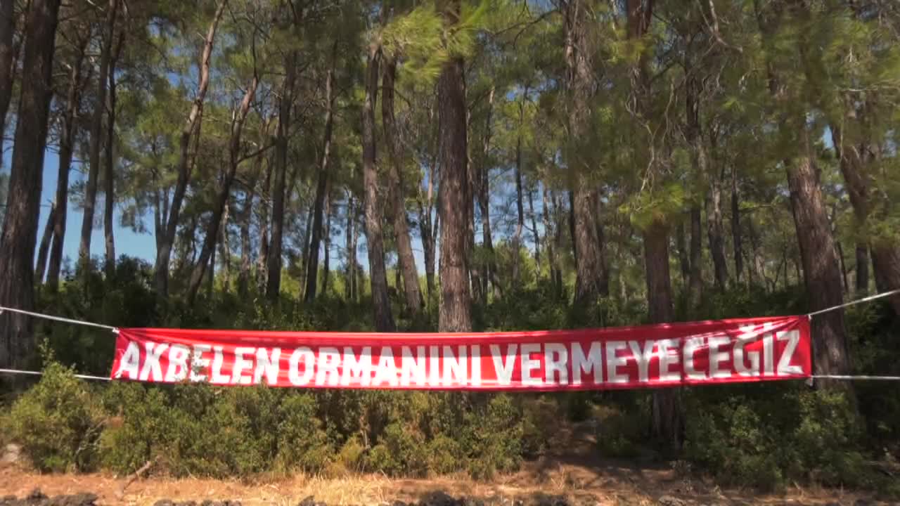 AKBELEN ORMANLARININ KESİLMEMESİ İÇİN DİRENEN KÖYLÜ: “BİR TANE BİLE AĞAÇ KESTİRMEYECEĞİZ, YAKTIRMAYACAĞIZ DA…”
