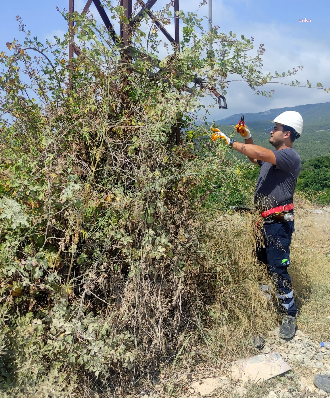 HATAY BELEDİYESİ ELEKTRİK SİSTEMLERİ ONARILIYOR