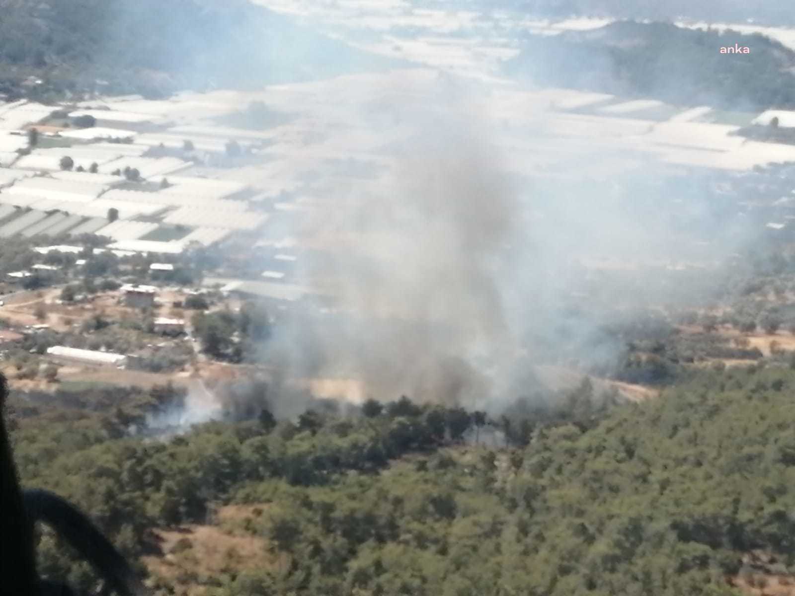 MUĞLA SEYDİKEMER’DE ORMAN YANGINI ÇIKTI