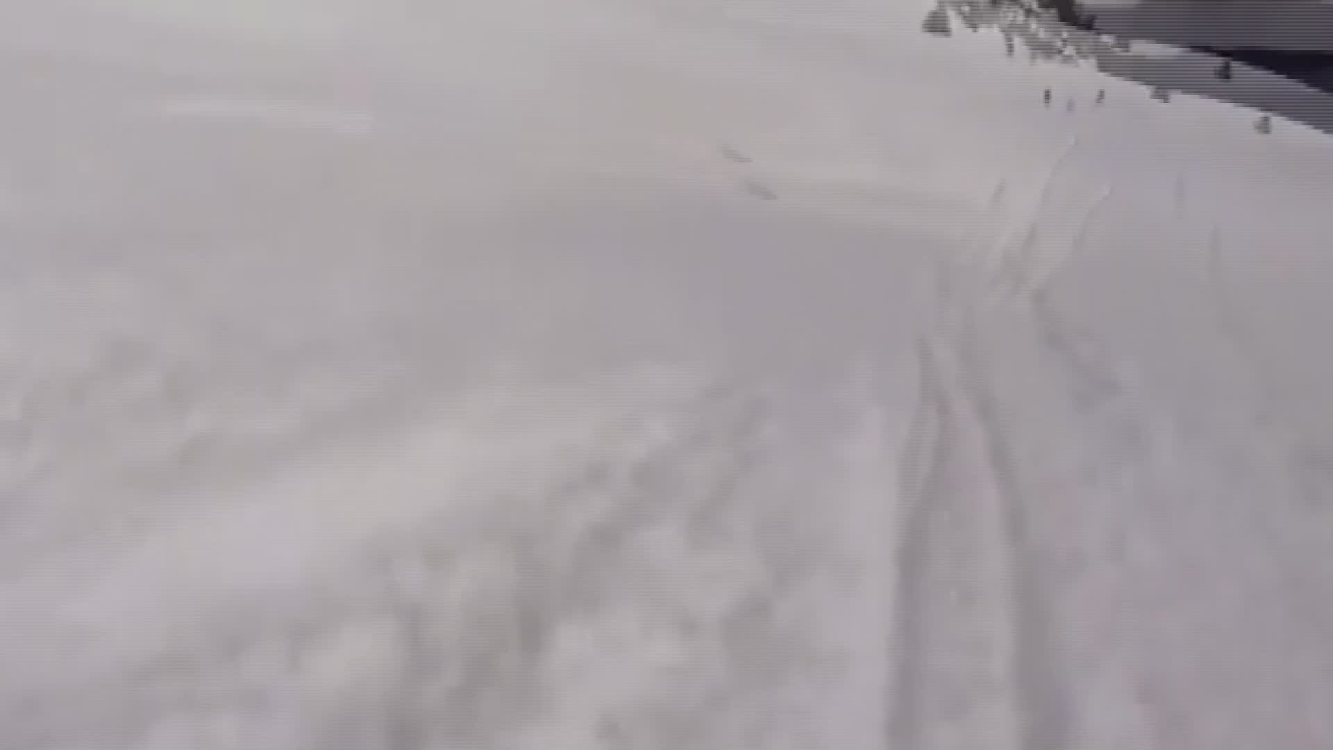 BABACAN DAVUL ZURNAYLA KARŞILANDI