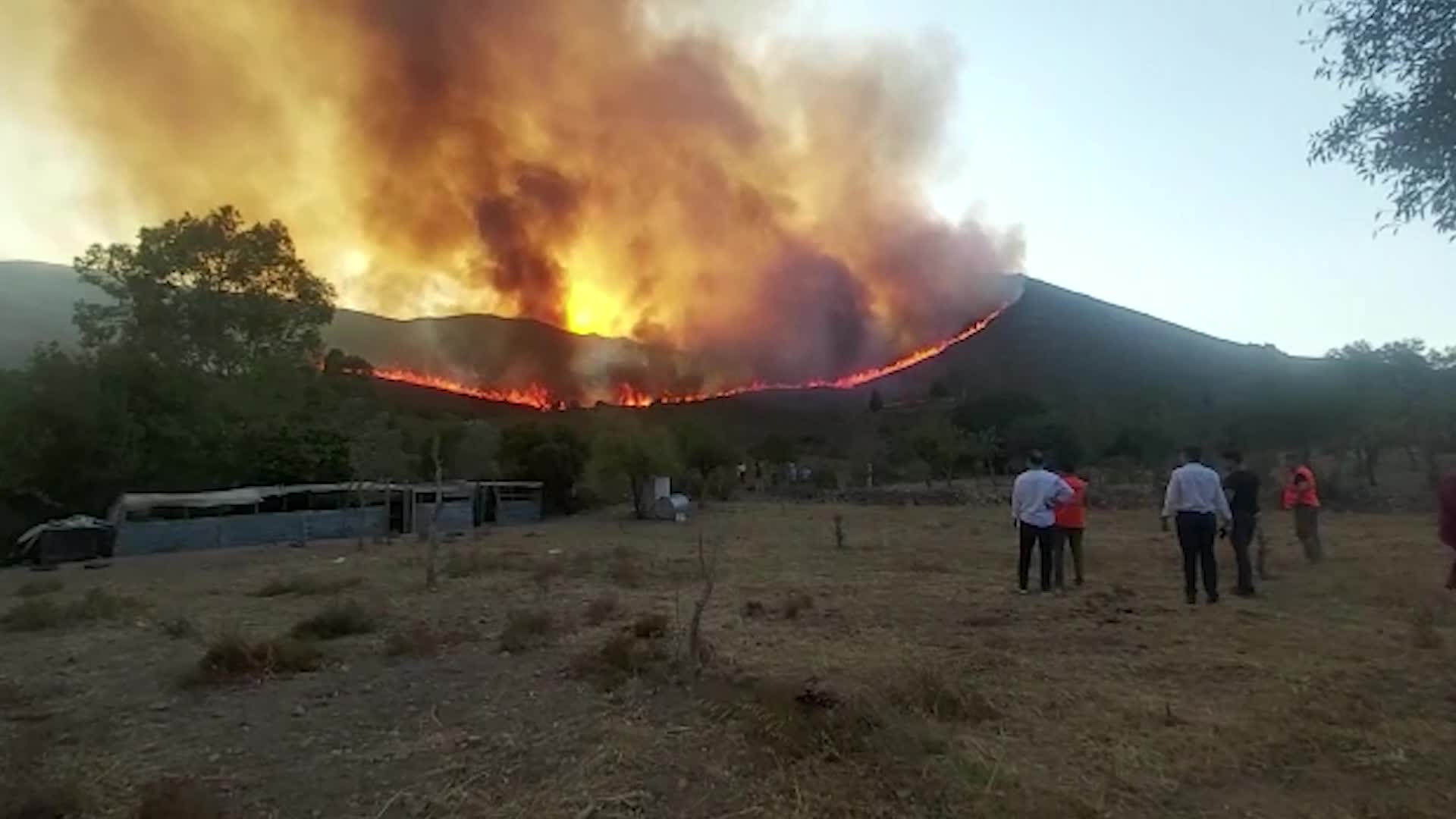 BODRUM GÜMÜŞLÜK'TEKİ YANGIN DURDURULAMADI, EVLER BOŞALTILIYOR