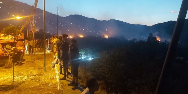 BODRUM'DA 30 HEKTAR ALAN DAHA KÜL OLDU
