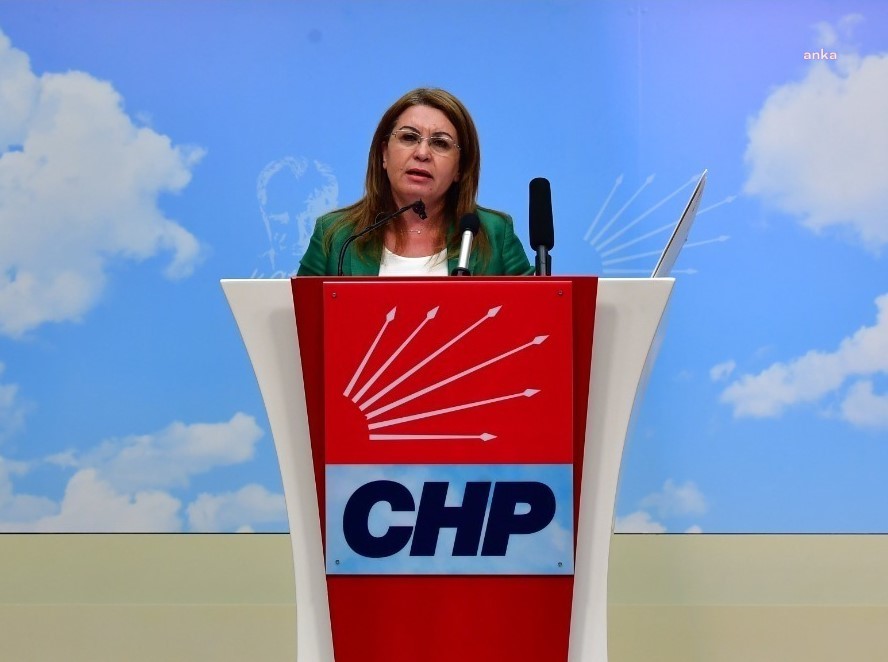 CHP'Lİ KARACA, SOYLU VE OKTAY'A AFGAN GÖÇMENLERİ SORDU