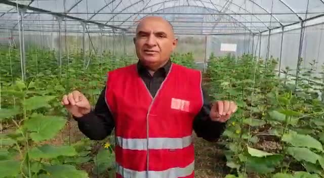 KOCAELİ’NDE “HALKIN SERASI PROJESİ” HAYATA GEÇİRİLDİ