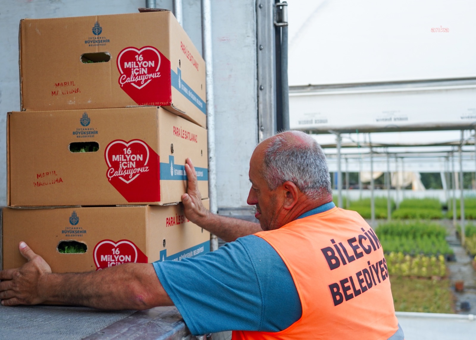 BİLECİK BELEDİYESİ ÇİFTÇİLERE 118 BİN 750 ADET SEBZE FİDESİ DAĞITACAK