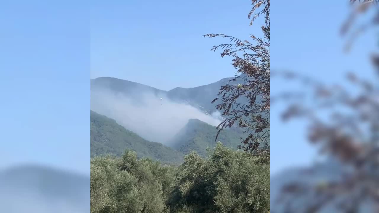 KAZDAĞLARI'NDA ORMAN YANGINI