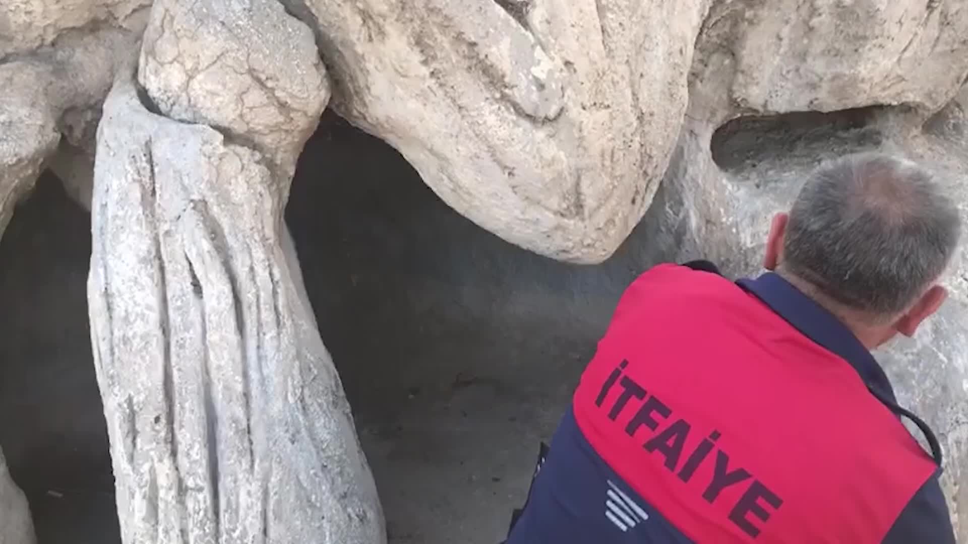IĞDIR’DA TAŞLARIN ARASINDA YENİ DOĞAN YAVRU KÖPEKLERİ İTFAİYE EKİBİ KURTARDI