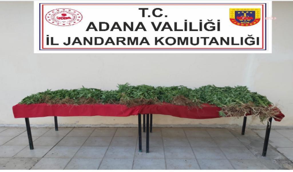 ADANA’DA UYUŞTURUCU OPERASYONLARINDA 52 ŞÜPHELİ HAKKINDA YASAL İŞLEM YAPILDI