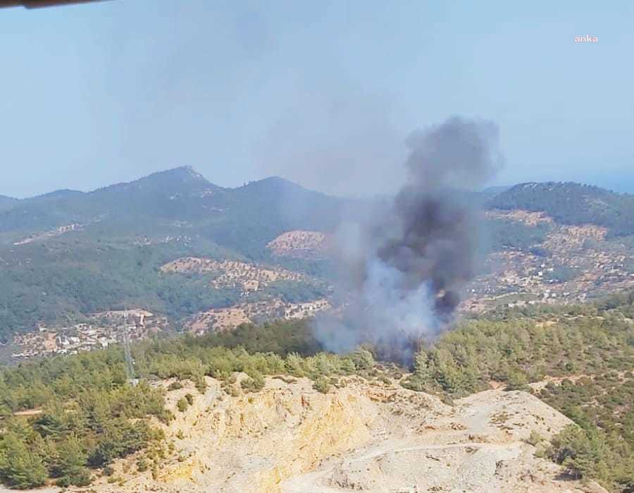 BODRUM ÇİFTLİKKÖY’DE ORMAN YANGINI