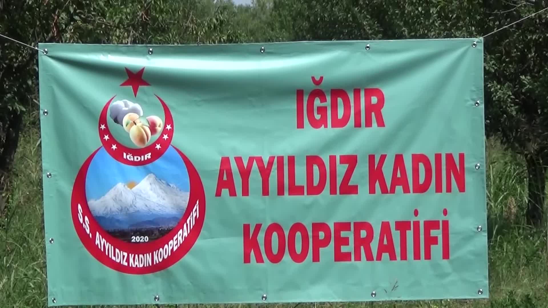 IĞDIRLI KADINLAR, KURDUKLARI KOOPERATİF İLE YÖRE ÜRÜNLERİNE EKONOMİK DEĞER KATIYOR