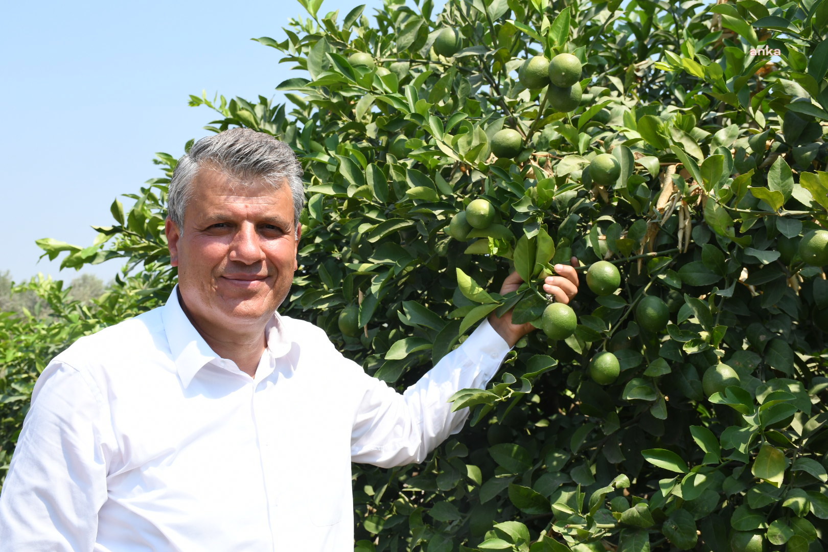 CHP'Lİ BARUT, NARENCİYE İHRACATINDA ANALİZ ŞARTINA TEPKİ GÖSTERDİ