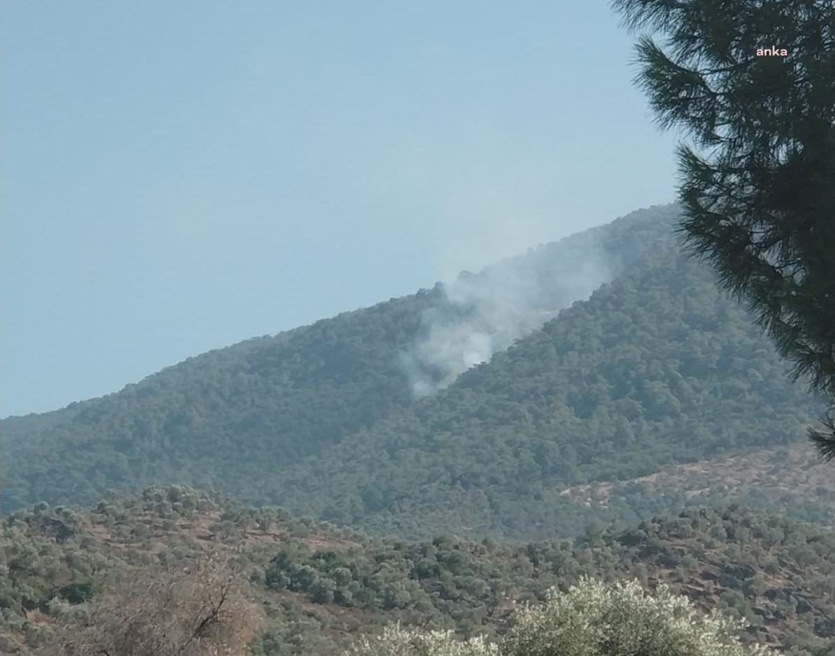 MUĞLA MİLAS’TA ORMAN YANGINI BAŞLADI