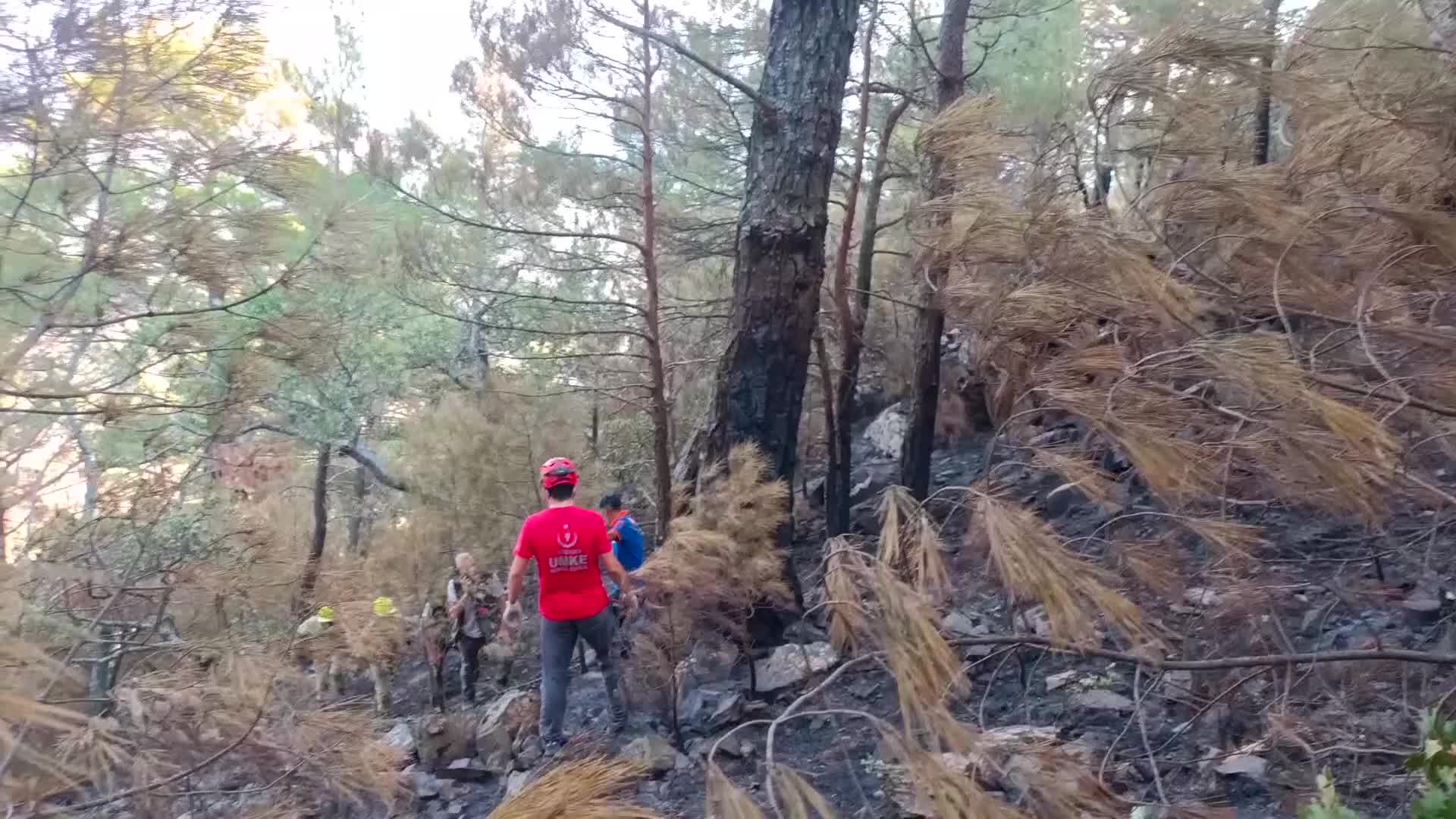 KAZDAĞLARI'NDA KAYALIKLARDAN DÜŞEN ORMAN ŞEFİ YARALANDI