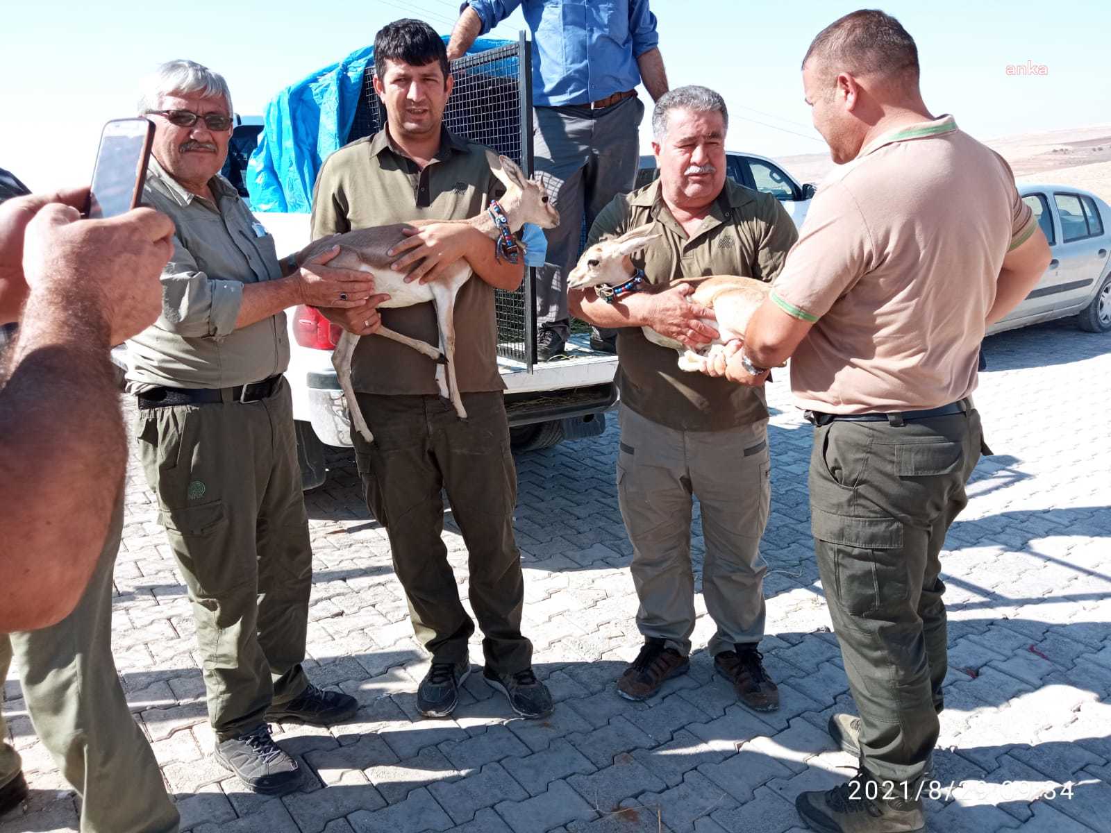 KIRIKKALE’DE 2 CEYLANA EL KONULDU