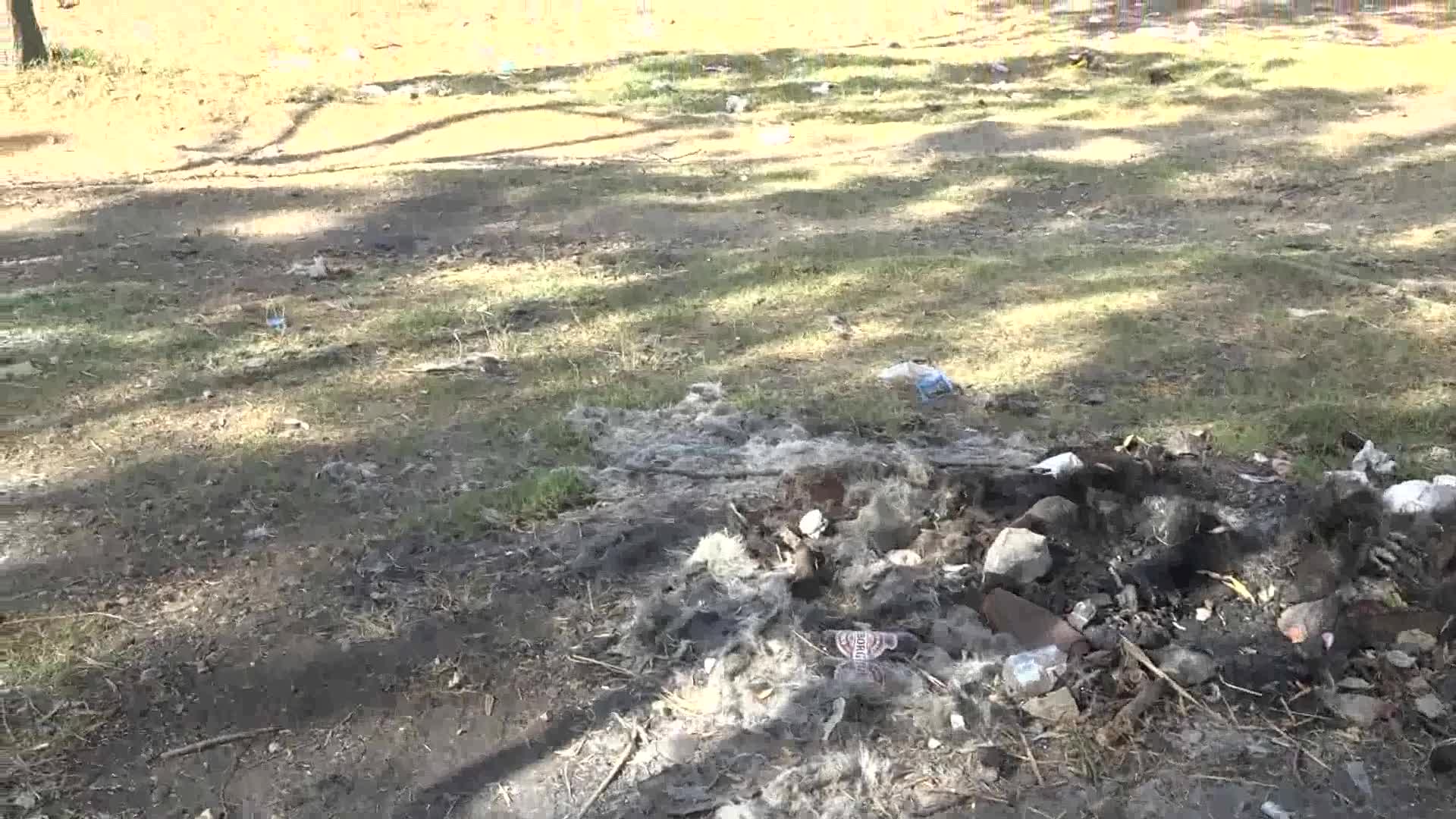 İSTANBUL’UN İÇME SUYU HAVZASI ALARM VERİYOR