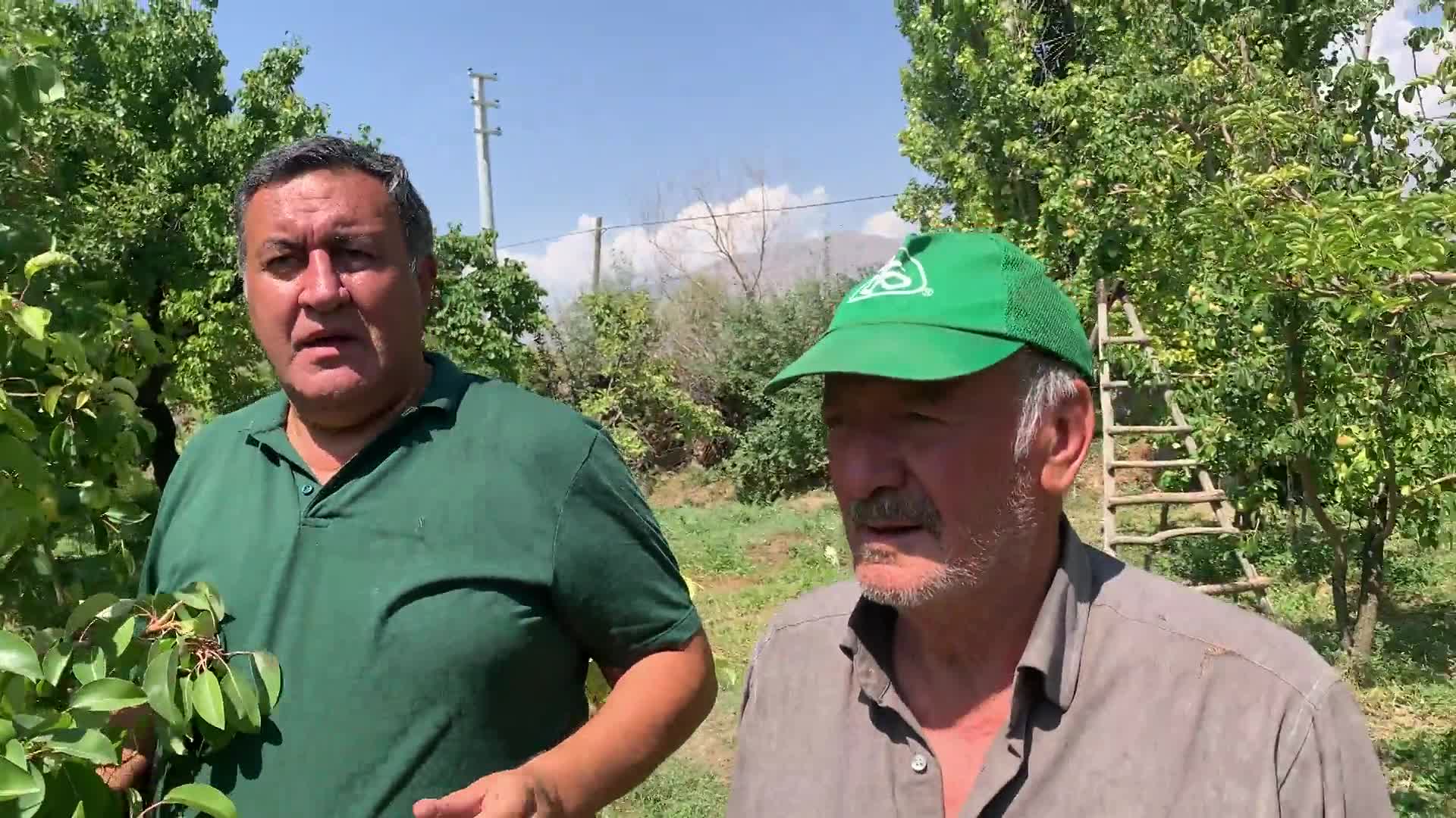 CHP’Lİ GÜRER, AKDENİZ MEYVE SİNEĞİNİN MEYVELERE VERDİĞİ ZARARA DİKKAT ÇEKTİ