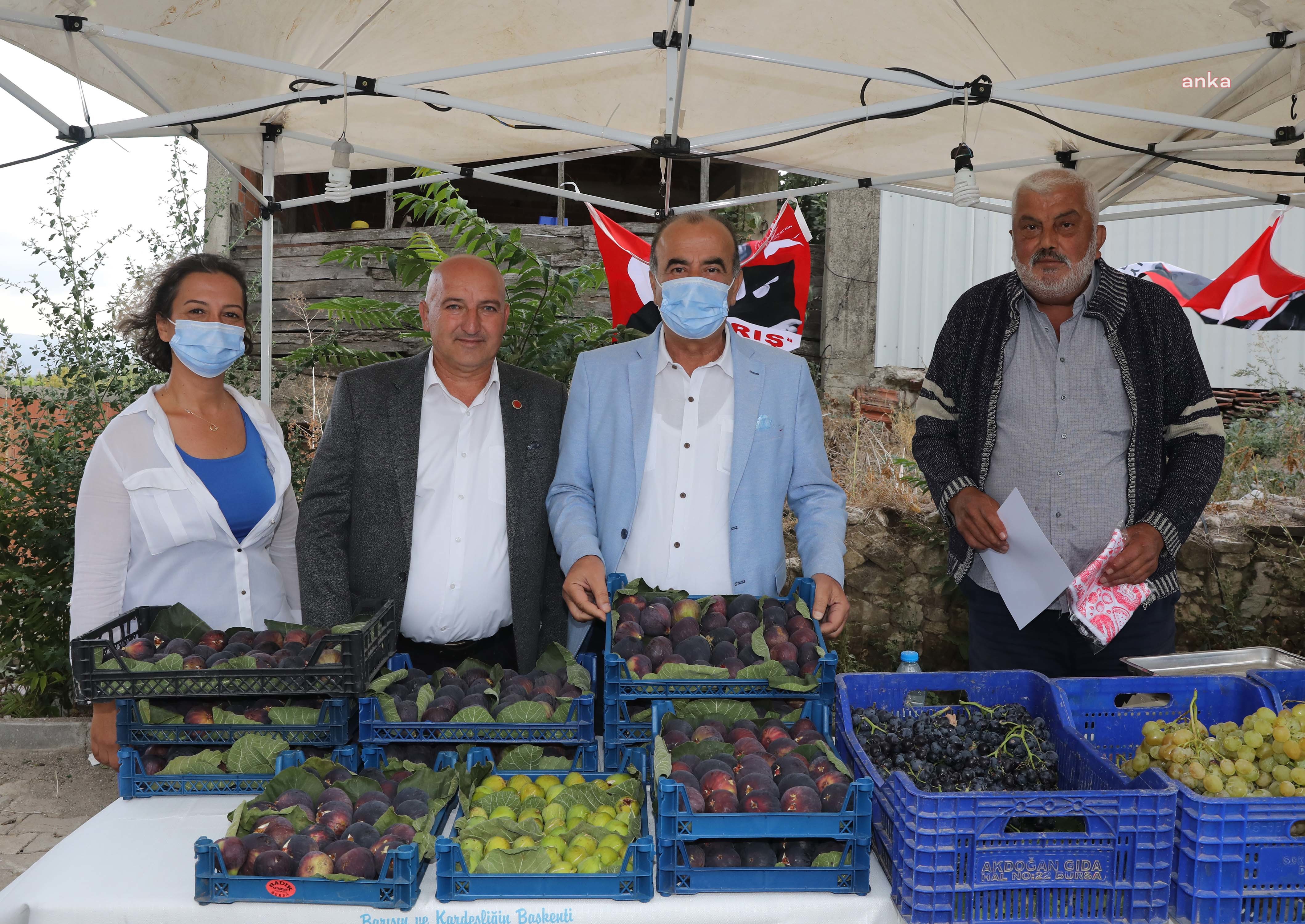 MÜRSEL KARA İNCİR ŞENLİĞİ'NE YOĞUN İLGİ