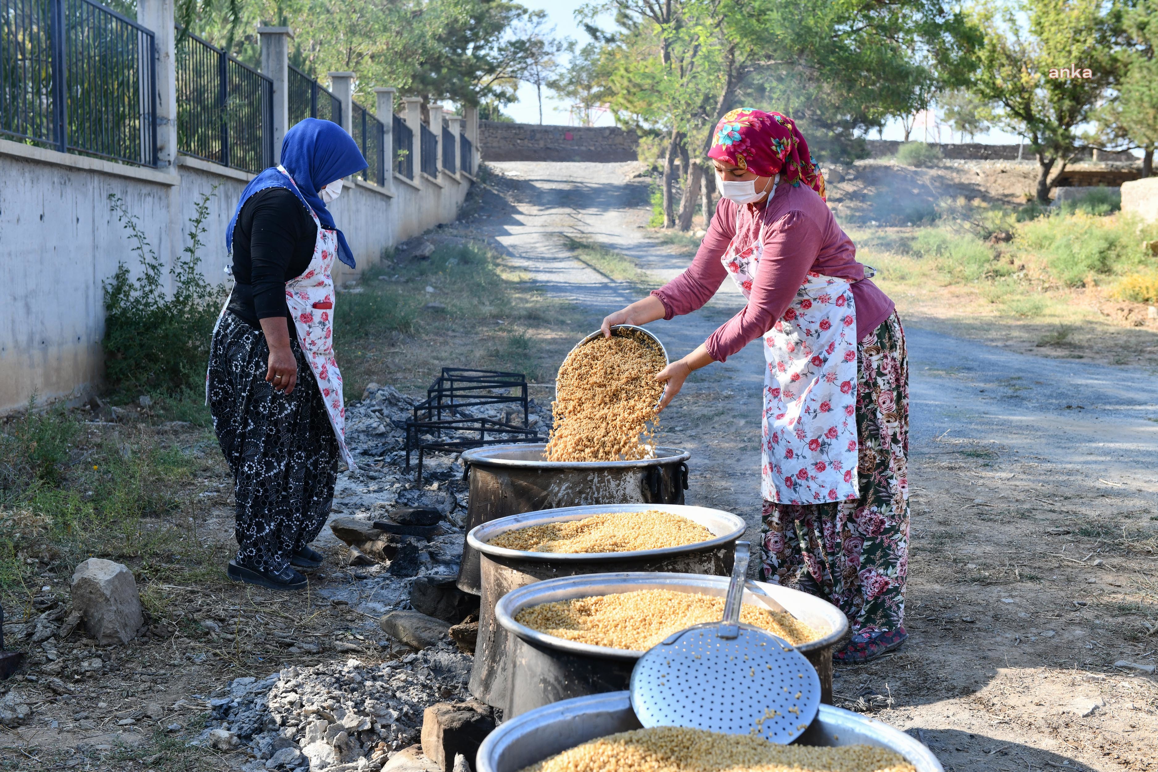BAŞKENT'TE TARIMSAL ÜRETİM SÖZLEŞMESİ İLE İLK HASAT