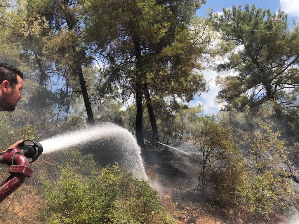 DEMRE BEYMELEK’TE ÇIKAN ORMAN YANGIN SÖNDÜRÜLDÜ