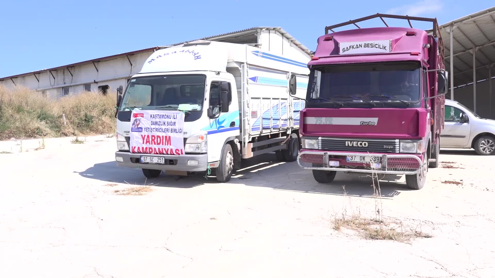 YALOVA'DAN, KASTAMONU BOZKURT'A 45 BÜYÜKBAŞ HAYVAN YARDIMI