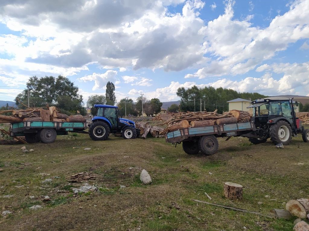ARDAHAN GÖLE’DE KAÇAK AĞAÇ KESEN İKİ KİŞİ YAKALANDI