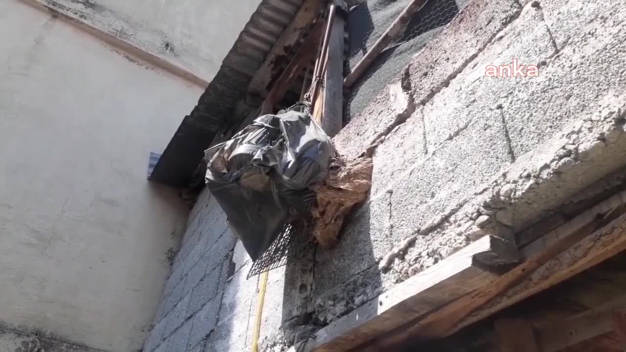 KADİRLİ'DE ESNAF EŞEK ARILARININ İSTİLASINDAN MUZDARİP