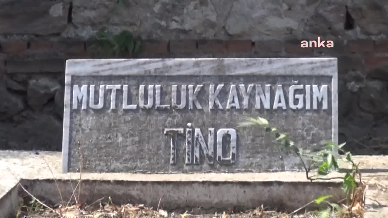 ESKİ UN FABRİKASINDA İKİ KÖPEK MEZARI BULUNDU