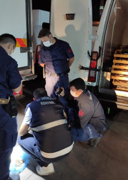 AKÇAKOCA’DA YASAL ÖLÇÜLERİN ALTINDA AVLANAN 602 KG BALIĞA EL KONULDU