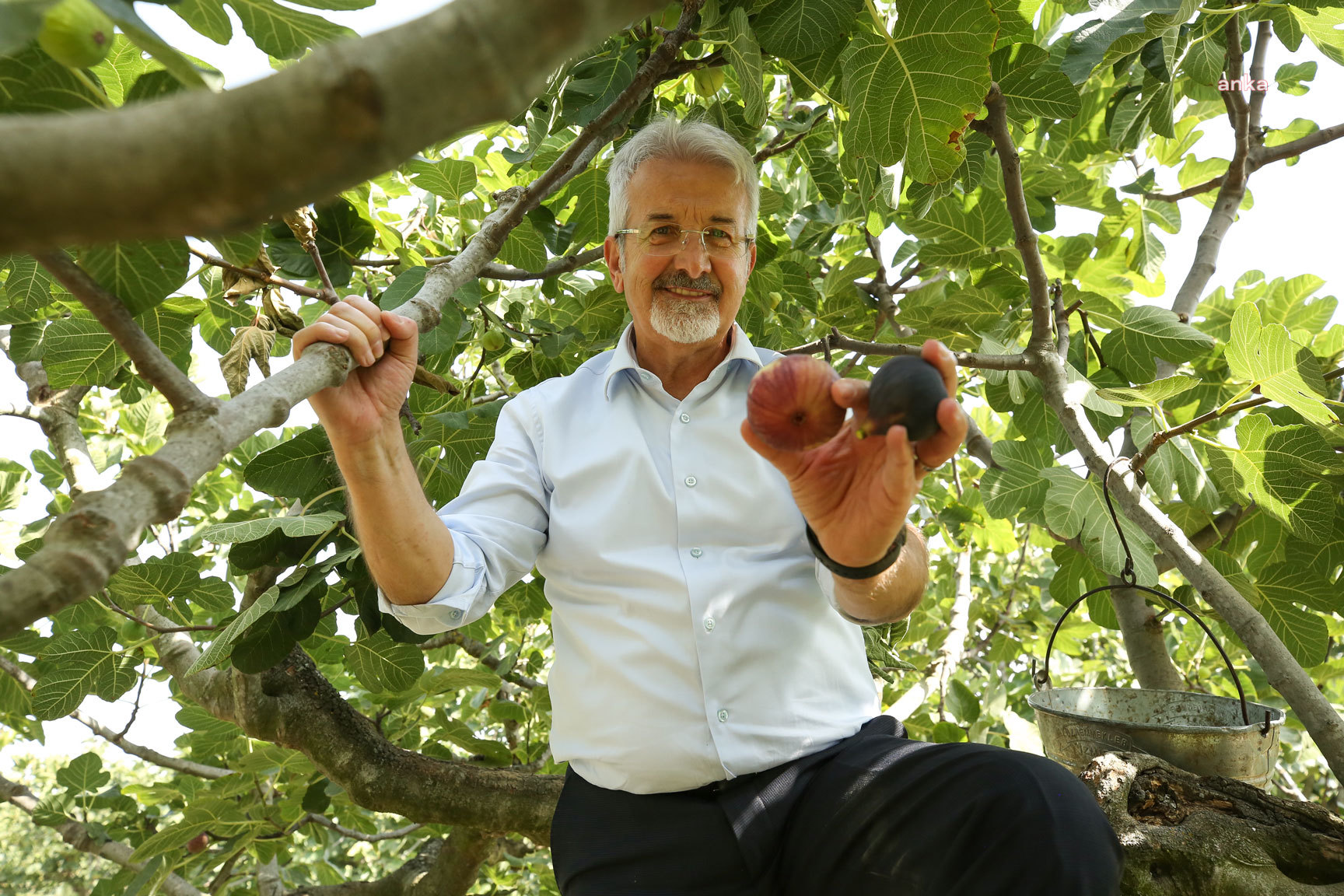 NİLÜFER BELEDİYE BAŞKANI ERDEM’DEN ÇAĞRI: "İNCİRİ ÜRETİCİDEN ALIN"