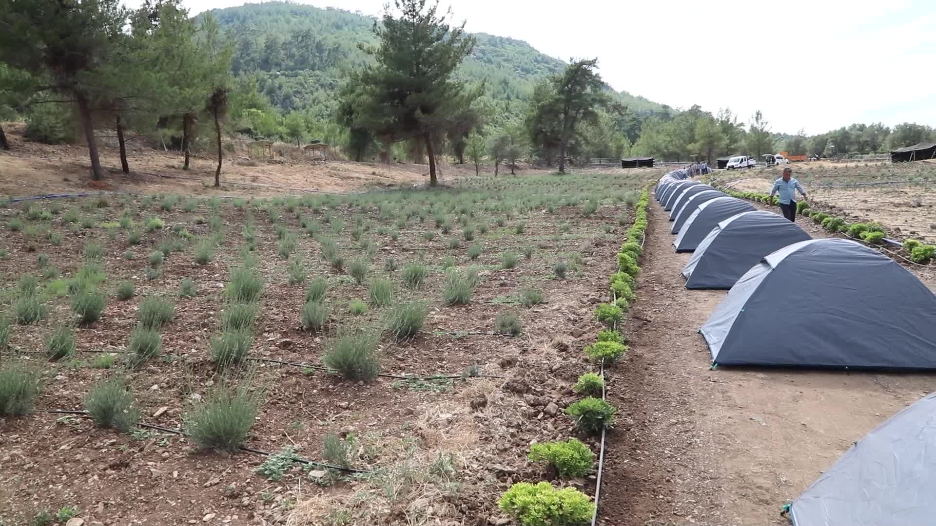 GARAOVA GENÇLİK TARIM KAMPI SONA ERDİ
