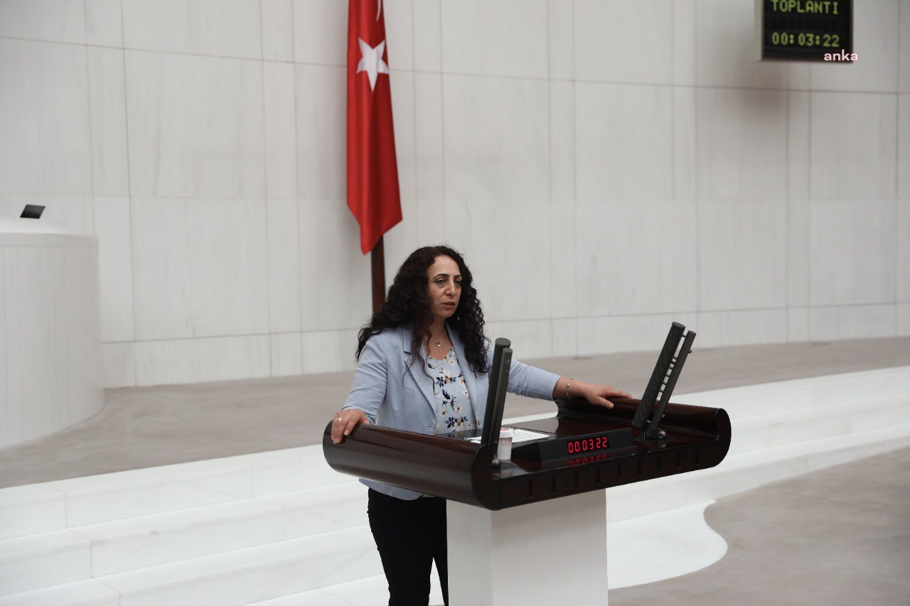 HDP’Lİ GÜLÜM VE IŞIK, ÜNİVERSİTE ÖĞRENCİLERİNİN BARINMA SORUNUNU MECLİS'E TAŞIDI