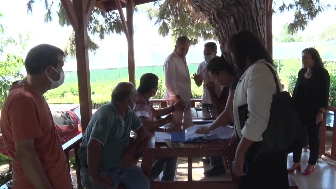 MERSİN BÜYÜKŞEHİR’İN AVOKADO FİDANI DAĞITIM PROJESİ GENİŞLİYOR
