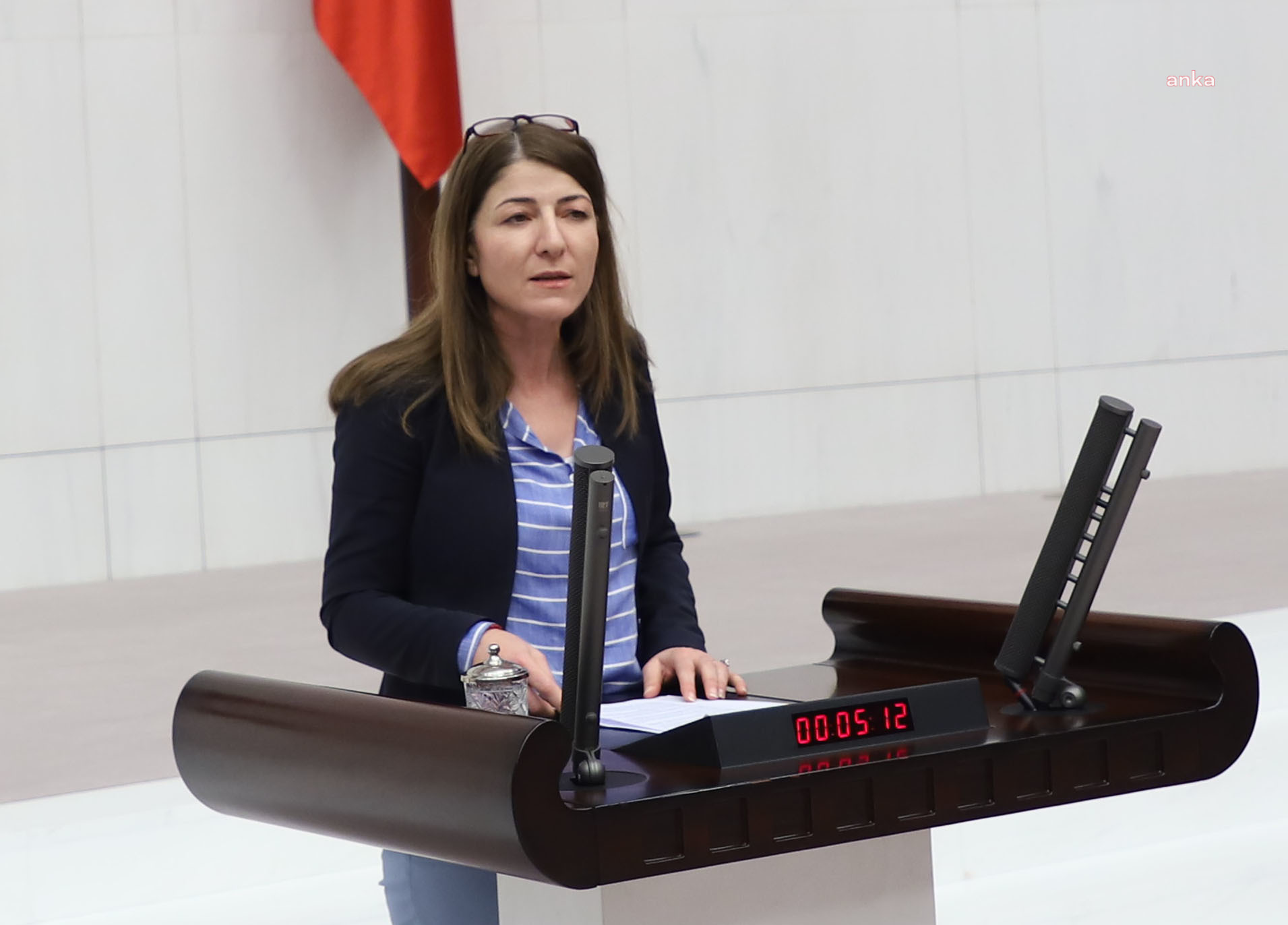 HDP, ÜSKÜDAR BELEDİYESİ'NİN VALİDEBAĞ KORUSU'NA GİRMESİNİ MECLİS GÜNDEMİNE TAŞIDI