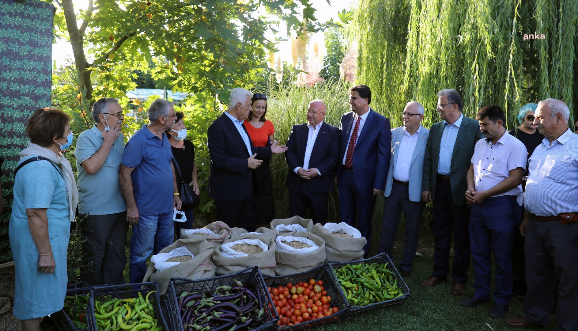 MENTEŞE'DE BUĞDAY HASAT ŞENLİĞİ YAPILDI
