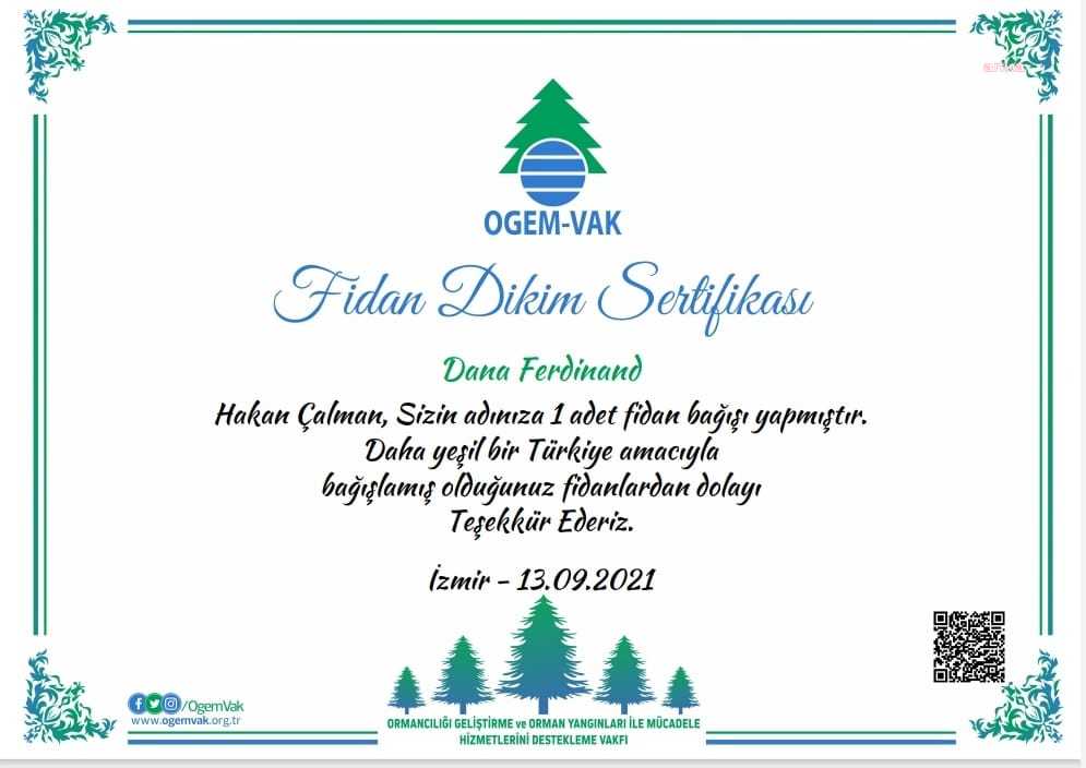 HAKARET FİDAN OLDU
