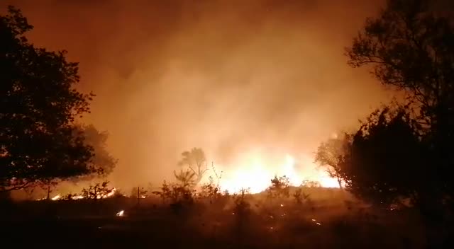 BODRUM'DA MAKİLİK ALANDA BAŞLAYAN YANGIN, TARIM ARAZİLERİNE SIÇRADI