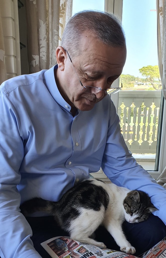 CUMHURBAŞKANI ERDOĞAN'DAN KEDİLİ PAYLAŞIM